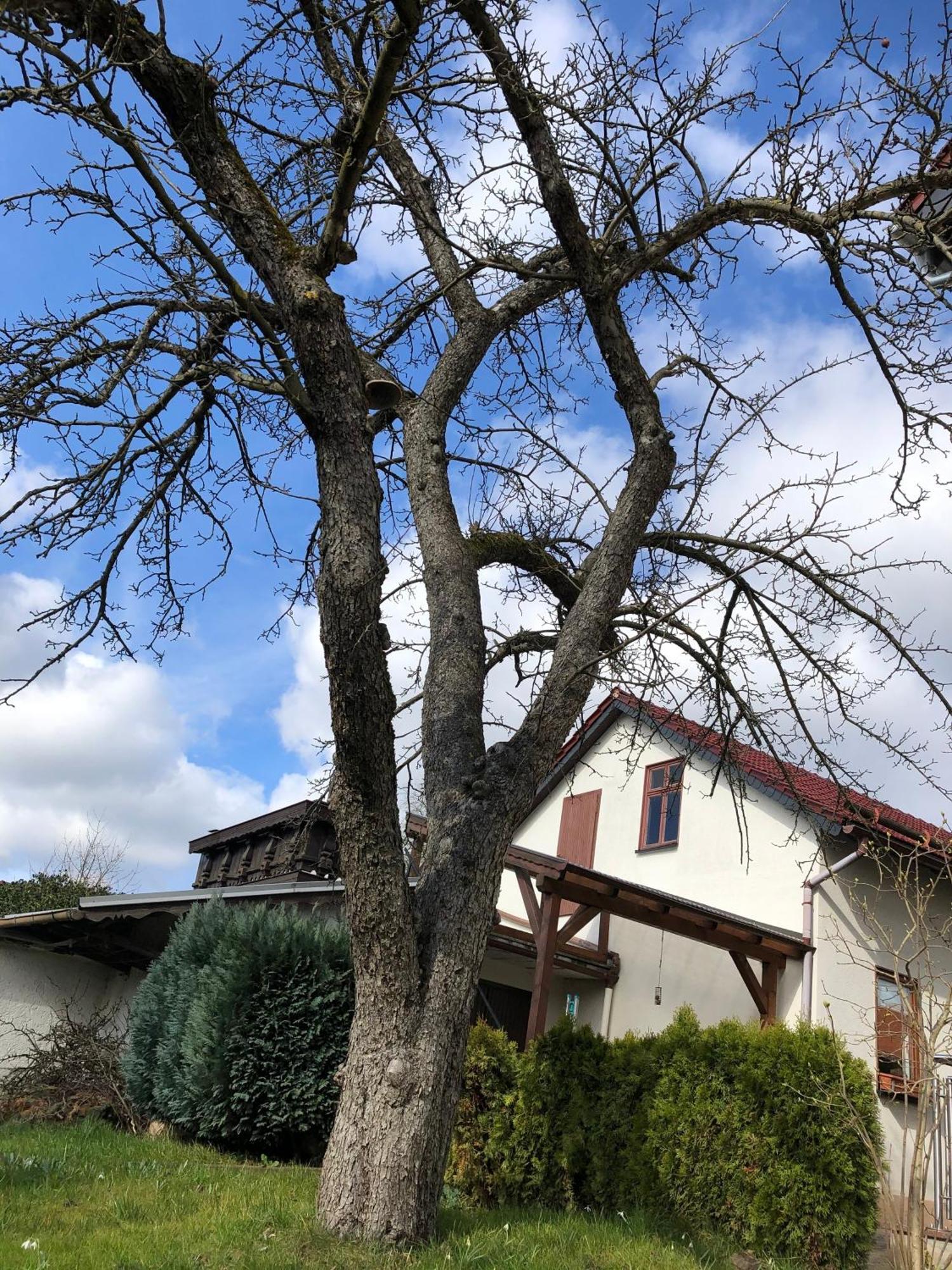 Ferienwohnung Familie Tröger Floh Exterior foto